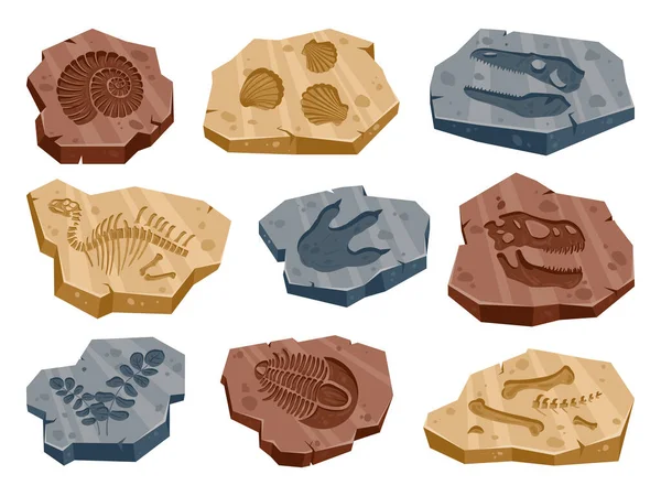 漫画考古学化石 ジュラ紀の恐竜 古代の植物や動物の化石 古生物学爬虫類の足跡 植物や骨フラットベクトルイラストセット 考古学発掘品 — ストックベクタ
