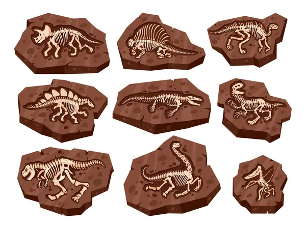 Cartoon Couches Sol Avec Dino Fossile Dinosaure Archéologie Souterraine Fossile — Image vectorielle