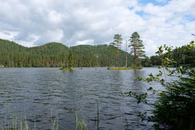 Nehir ve gölü olan güzel bir manzara.