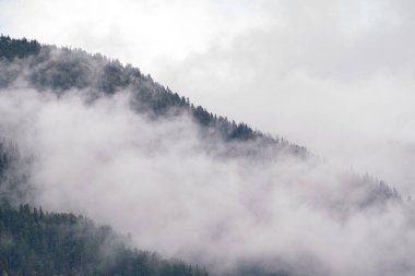 Dağlarda sisli bir sabah