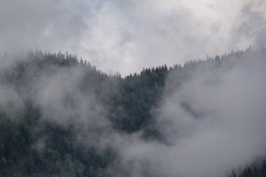 Dağlarda sisli bir sabah