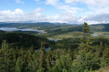 Dağlardaki güzel göl manzarası