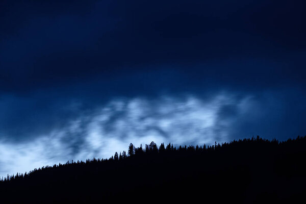 beautiful landscape with a tree in the mountains