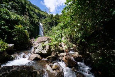 Ormanda güzel bir şelale