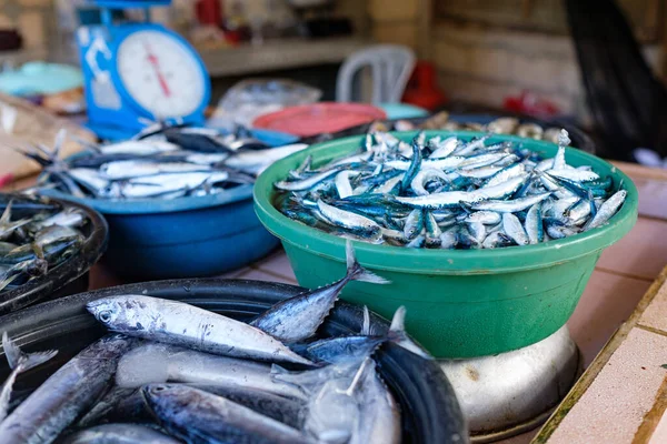 fresh fish at market