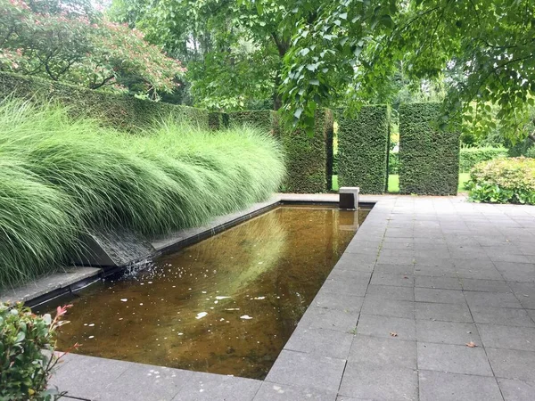 Bahçedeki havuz ve çimenler. Mien Ruys Gardens, Hollanda, 4 Ağustos 2019, Mien Ruys 20. yüzyılın en önemli bahçe mimarlarından biridir. Dar bir gölet ve süs çimenleri var, resimde kesilmiş taksiler var.