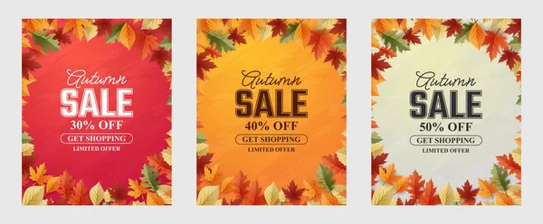 Autumn Sale Background Set Abstract Backgrounds Leave Frame Autumn Sale — ストックベクタ