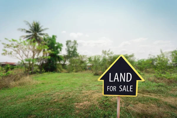 Kesilmiş çimenlik zemine karşı satılık tabela. Kuru, çatlak bataklık ıslah toprağı, kırsal bölgedeki konut inşaatı için arsa ve temiz havası olan güzel mavi gökyüzü..