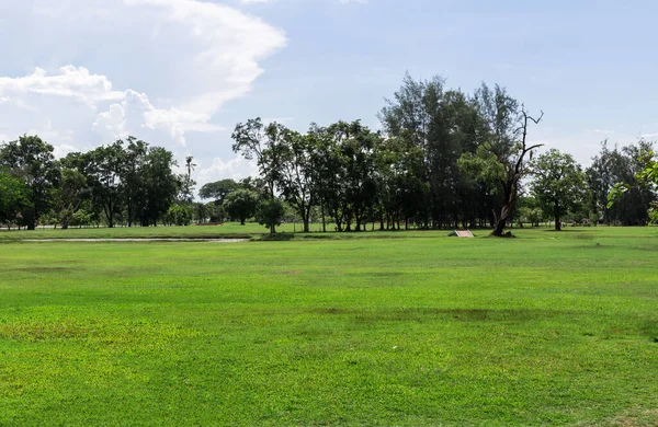 Empty dry cracked swamp reclamation soil, land plot for housing construction Green meadow, beautiful views and beautiful blue sky with fresh air Land for sales landscape concept.