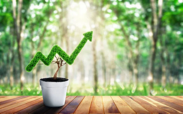 Small Plant Pot Shaped Growing Graph Business Growth Concept Planning — Photo