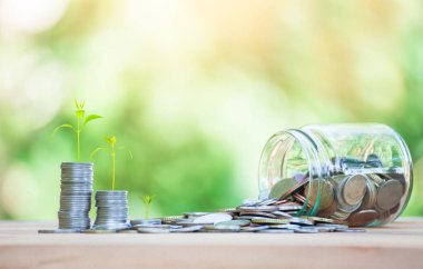 Ağaç gümüş, bozuk para ve cam kavanozlarda yetişiyor. İş büyümesini gösteriyor. gayrımenkul, ipotek, iş ve yatırım kavramları için madeni para tasarrufu planlaması.