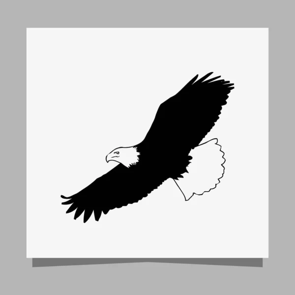 Vector Black Eagle White Paper Perfect Logos Illustrations Banners Flyers — Stock Vector