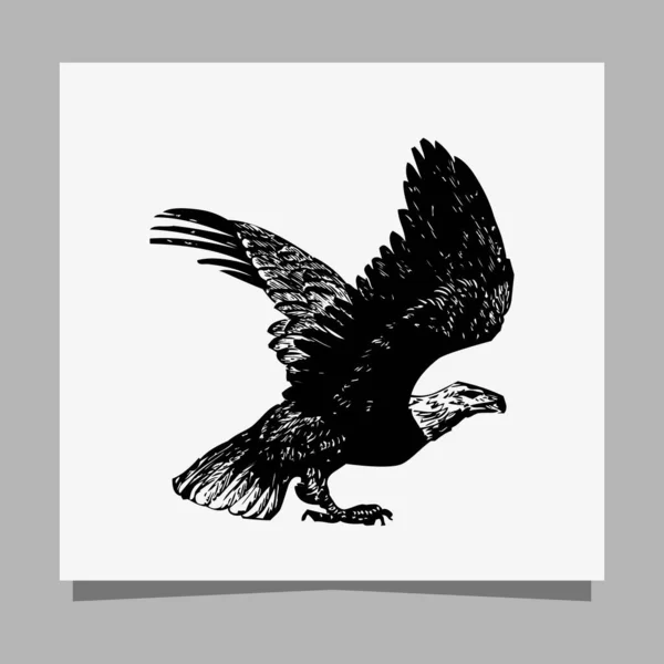 Vector Black Eagle White Paper Perfect Logos Illustrations Banners Flyers — Stock Vector