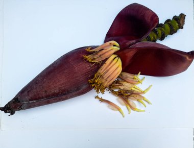 Banana heart or banana tree flower which is dark red slightly purplish, rich in vitamins and properties that are good for health, banana heart can be processed into delicious dishes 