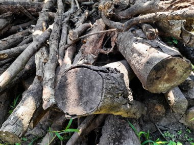  pile of wood pieces result of felling trees, can be used for kitchen fuel or building materials
