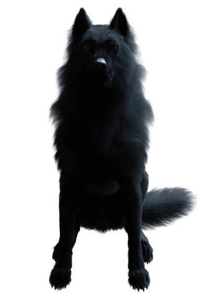 Dark black wolf 3D render
