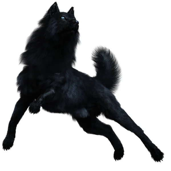 Dark Black Wolf Render — Fotografia de Stock