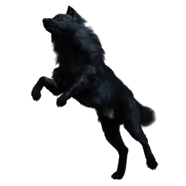 Dark Black Wolf Render — Stockfoto