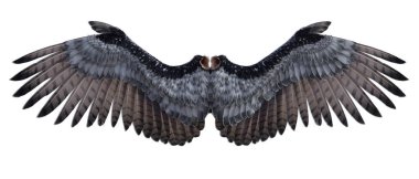 Angel wings 3D render