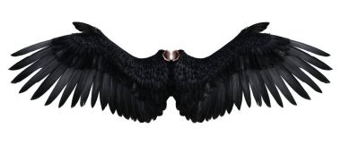 Angel wings 3D render