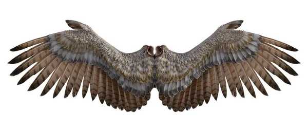 Angel Wings Render — Stock Photo, Image