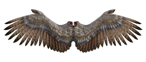 Angel wings 3D render