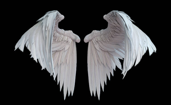 Angel wings 3D render