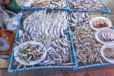 Tayland 'da yol kenarında pulsuz kurutulmuş balık satılıyor..