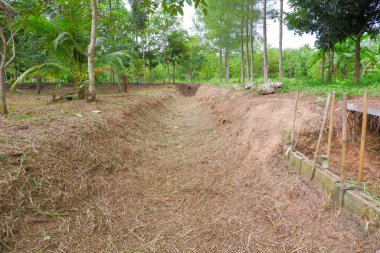 Siper su tutmak için kazıldı. ama şimdi kuru ağaç arkaplanı