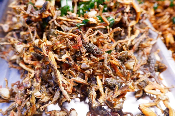 Makanan Fried Insects Street Yang Dibumbui Sangat Populer Thailand Rasanya — Stok Foto