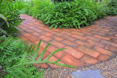 Bahçede kırmızı tuğlalı bir geçit. Yol boyunca eğrelti otları gibi küçük bir ağaç diktiler..