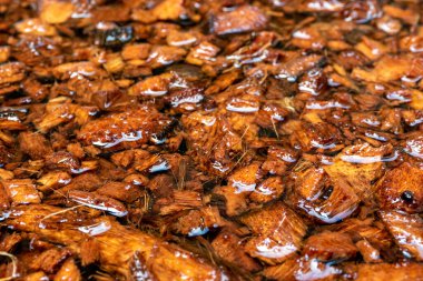 Suya batırılmış hindistan cevizi kabukları ekmek için hazırlanıyor.