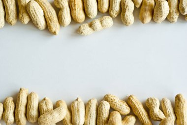 Kaynamış fıstık arasında boşluk kopyala