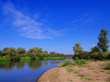 Vahşi bir nehri olan güzel bir manzara.
