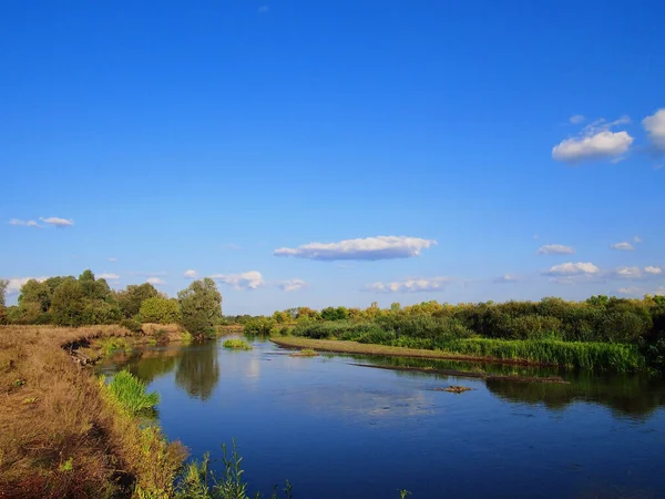 Vahşi bir nehri olan güzel bir manzara.