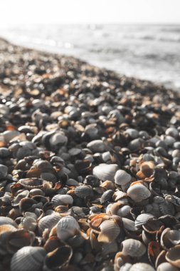 stones on sea beach, black and white