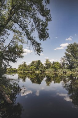 The crown of an ash tree hangs over a mirror steppe river reflecting everything in itself