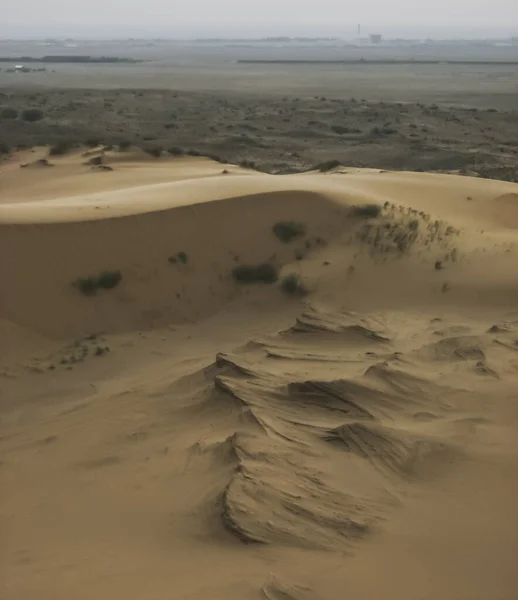 Relief Form Sand Dune Barkhan Sarykum Undersized Vegetation — Stock Photo, Image