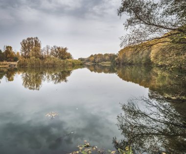 Bozkır nehrinin su yüzeyi, sonbaharda, ekim ayında bulutlu havada, kıyılardaki sonbahar sarı ağaçlarını yansıtır.