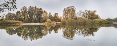 Sonbaharda bozkır nehrinin panoraması, su aynası ormanın sarı ve yeşil bitki örtüsünü yansıtır, ekim ayında bulutlu havada.