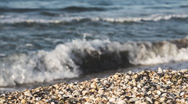 Deniz kabuklarından oluşan deniz kıyısı, deniz kıyısındaki dalgaların arkaplanına karşı, ılık bir yaz akşamında, yumuşak ışıklandırmayla