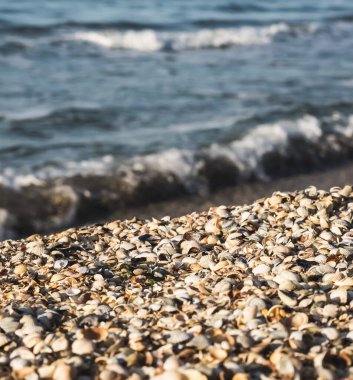 Devamlı deniz kabuklarından oluşan bir plaj, sıcak bir yaz akşamında, dalganın arka planında, Karadeniz 'in fırtınalı sularına dönüşür.