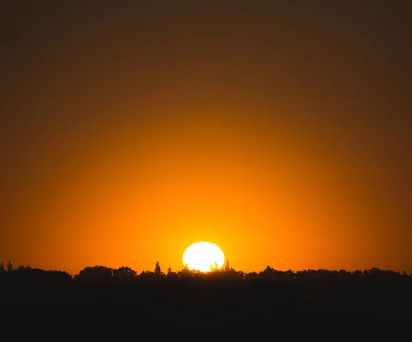 Morgendämmerung Orange Hell Heiße Sonnenscheibe Steigt Über Den Wald Warmer — Stockfoto