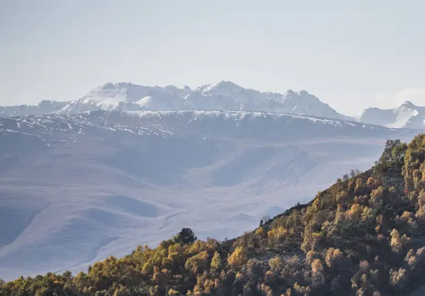 Pendiente Montaña Con Árboles Amarillentos Otoño Sobre Telón Fondo Cordillera — Foto de Stock
