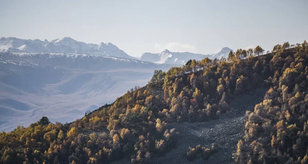 Pendiente Montaña Con Pedregal Cubierto Árboles Amarillos Otoño Contra Telón — Foto de Stock