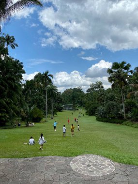 The view on the park in Singapore