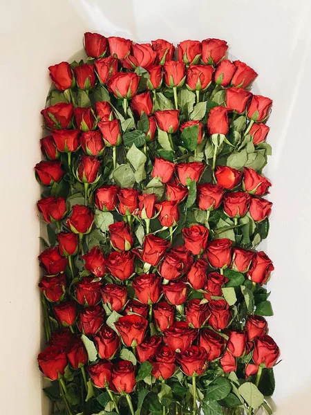Bath Lot Roses — Stock Photo, Image