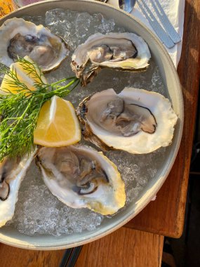 Close-up of a plate of oysters
