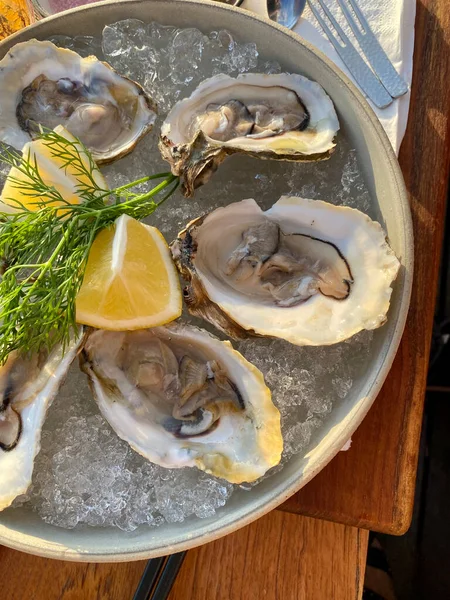 Close-up of a plate of oysters