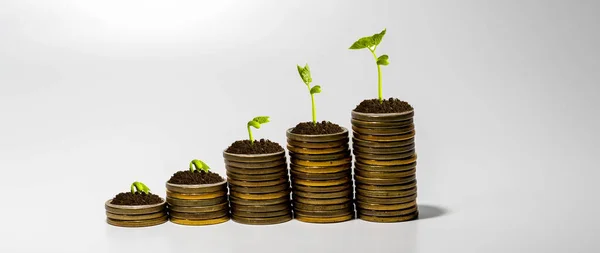Увеличение Кучи Монет Растущим Растением Вершине Концепция Инвестиций Сбережений — стоковое фото